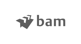 logo bam