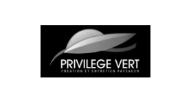 logo privilege vert